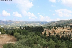 5cb307715687c9c7e88ba81dd2b98d9c