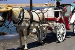 chania (49)